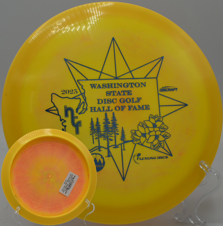 Close-up of swirly ESP Anax plastic shimmering in the sun at Northwood Black in Morton, Illinois.

